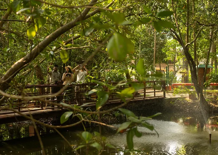 Coconut Lagoon Kumarakom - A Cgh Earth Experience